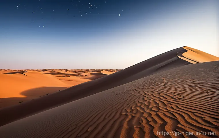 니제르에서 사파리 여행 가능 지역 - **Prompt:** A majestic elephant herd slowly moving through a vast, misty West African savanna at sun...