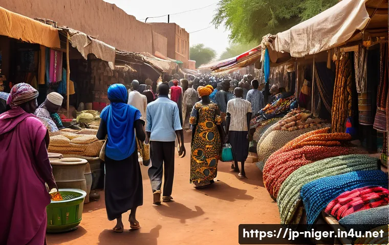 니제르에서 지역별 치안 차이 관련 이미지 2