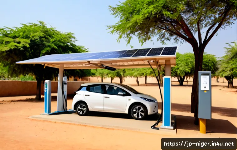 니제르에서 전기차 충전소 보급 현황 - Photorealistic wide-angle view of a modern electric vehicle charging station in Niamey, Niger, with ...